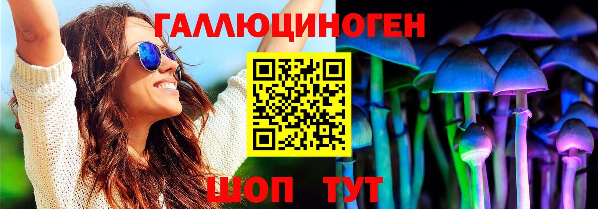 Псилоцибиновые грибы прущие грибы  Вход с VPN  Сатка  купить   Галлюциногенные грибы Psilocybe 