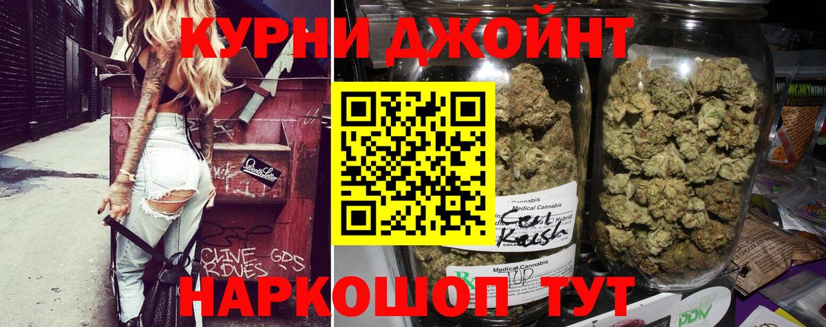 Марихуана сатива Сатка